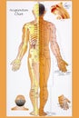 Traditional Chinese Acupuncture Chart Royalty Free Stock Photo