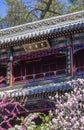 traditional chinese architectur, many flowers ahead Royalty Free Stock Photo