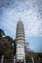 Traditional Chinese Buddhism Tower of nanputuo temple