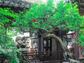 Traditional chinese building with ornate roof and red windows at Yu Gardens, Shanghai, China Royalty Free Stock Photo