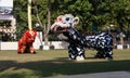 Traditional chinese dance