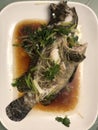 Traditional Chinese Dish of Steam Fish