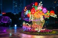 Traditional Chinese Flower Lantern Light Up in City