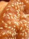 Traditional Chinese fried sesame cake