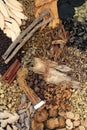 Traditional Chinese Fundamental Herbs and Spice