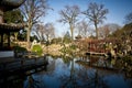 Traditional Chinese Garden in Winter