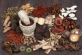 Traditional Chinese Herbal Medicine