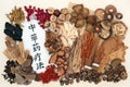 Traditional Chinese Herbal Therapy Royalty Free Stock Photo