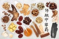 Traditional Chinese Herbs for Healing Royalty Free Stock Photo