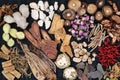 Traditional Chinese Herbs Royalty Free Stock Photo