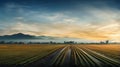 Traditional Chinese Landscape: Field At Sunset In California Impressionism Style