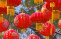Traditional Chinese lantern hanging on tree in public park Royalty Free Stock Photo