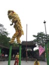 Traditional Chinese Lion Dance
