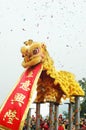 Traditional Chinese Lion Dance with Scroll