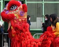 Red Chinese Lion Dancer