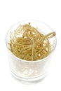 Traditional Chinese Medicine - Ginseng roots (Panax ginseng) Royalty Free Stock Photo