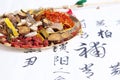 Traditional Chinese medicine and the prescription Royalty Free Stock Photo