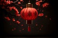 Traditional Chinese new year lantern for celebration