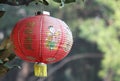 Traditional Red Chinese Lantern with green natural background Royalty Free Stock Photo