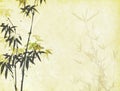 Traditional chinese painting Bamboo on old Paper Royalty Free Stock Photo