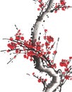 Traditional chinese painting of flowers, plum blossom Royalty Free Stock Photo