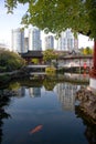 Traditional Chinese pond while modern highrises behind, Vancouver, BC