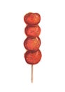 BingTanghulu Crispy Sugar-Coated Fruit on a Stick. Watercolor il