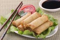 Traditional Chinese Spring Rolls with a dipping sause Royalty Free Stock Photo