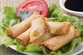 Traditional Chinese Spring Rolls with a dipping sause Royalty Free Stock Photo