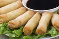 Traditional Chinese Spring Rolls with a dipping sause Royalty Free Stock Photo