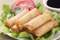 Traditional Chinese Spring Rolls with a dipping sause Royalty Free Stock Photo