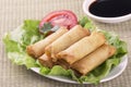 Traditional Chinese Spring Rolls with a dipping sause Royalty Free Stock Photo