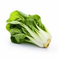 Traditional Chinese Style Bok Choy Art On White Background