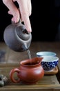 Traditional chinese tea ceremony Royalty Free Stock Photo