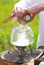 Traditional Chinese tea ceremony, man pours tea from gaiwan into