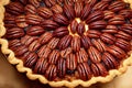 Traditional Christmas American dessert baked pecan pie