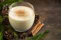 Traditional Christmas drink eggnog with grated nutmeg and cinna