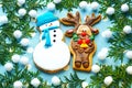 Traditional, Christmas, ginger gingerbreads, cookies a deer and a snowman close up on a blue background with fir-tree branches Royalty Free Stock Photo