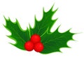 Traditional Christmas holly leaves