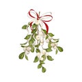 Traditional Christmas mistletoe twig with ribbon. Digital illustration