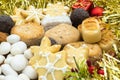 Christmas sweet assortment. Spanish traditional Christmas sweets with Christmas decoration