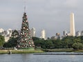 Traditional Christmas tree in Ibirapuera, it is of the attraction in the south zone of the city of Sao Paulo Royalty Free Stock Photo