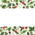 Traditional Christmas Winter Greenery Background Border Royalty Free Stock Photo