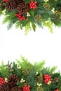 Traditional Christmas Winter and New Year Floral Border Royalty Free Stock Photo