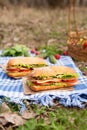 Traditional ciabatta baguette sandwich lifestyle picnic lunch with vegetables