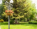 Traditional city lantern with decorative hanging basket with beautiful flowers in the Park on a background of green Royalty Free Stock Photo