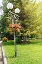 Traditional city lantern with decorative hanging basket with beautiful flowers in the Park on the background of green trees on a Royalty Free Stock Photo