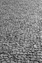 Traditional cobblestone floor street detail in black and white