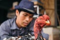 Traditional cockfighting in Vietnam