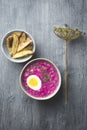Traditional cold Lithuanian borscht or Saltibarscai with baked potatoes. Kefir summer diet meals for hot weather Royalty Free Stock Photo